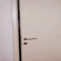 zdravo mrsavljenje ,Beograd