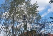SECA TOPOLA VIŠNJICA