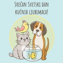 Besplatan pregled 11. i 12. april, veterinar Bogoslovija