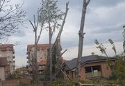 SEČA TOPOLE KARABURMA