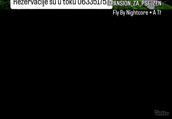 video111289-cbc12a.jpg
