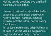 Pravilik za čuvanje pasa