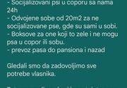 Pravilik za čuvanje pasa
