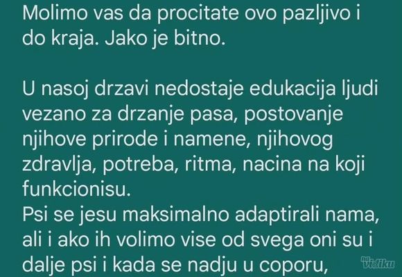 pravilik-za-cuvanje-pasa-2235ab.jpg