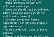 Pravilik za čuvanje pasa