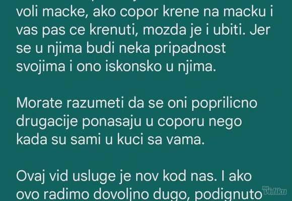 pravilik-za-cuvanje-pasa-2235ab-ff50b882-1.jpg