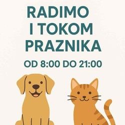 Radno vreme rokom praznika