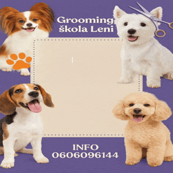 Grooming škola 