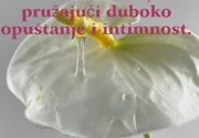 Tantra masaža