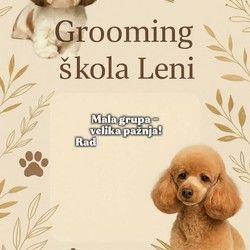 Grooming škola