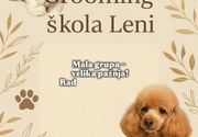 Grooming škola 