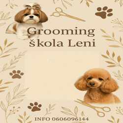 Grooming škola 