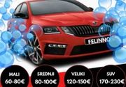 Detailing automobila