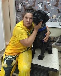 Sređivanje velikih pasa Novi Beograd