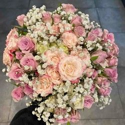 Mini ruze  Tosin bunar-Zemun