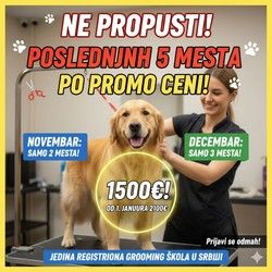 NE PROPUSTI! POSLEDNJIH 5 MESTA PO PROMO CENI!