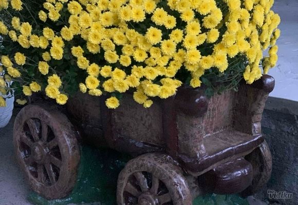 Zardinjera od betona kocija