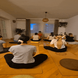 Časovi Hatha joge na Vračaru