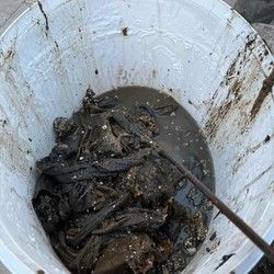 Otpusavanje kanalizacije Surcin