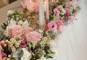 decoracija vencanja, Detelinara Novi Sad 