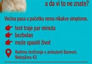 Test na srčanog crva 