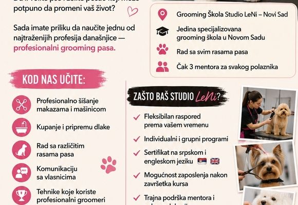 GROOMING ŠKOLA
