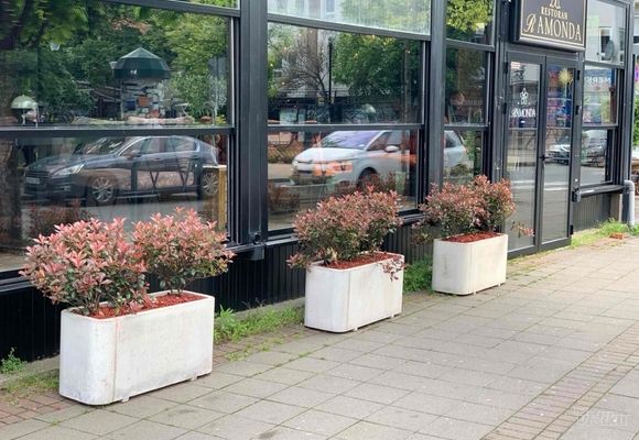 Betonske zardinjere