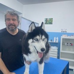 Grooming psa