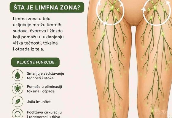 LIMFNA DRENAZA i TOKSINI U TELU