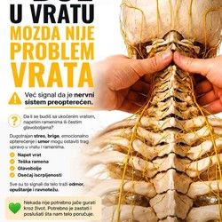 BOL U VRATU HOLISTICKI PRISTUP