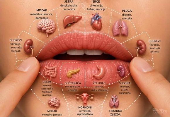 REFLEXOLIOGIJA USANA-HOLISTICKI PRISTUP