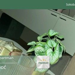 Stan Na Dan Sokobanja Mk Lux Apartman