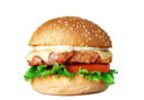 Chicken burger (Cezar burger)