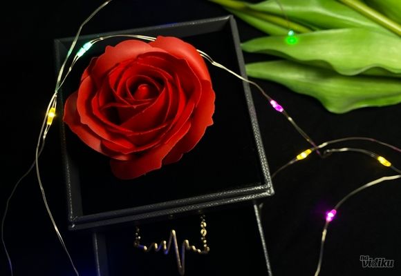 Rose gift box sa ogrlicom