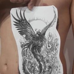 Tetovaža FENIKS NA REBRIMA
