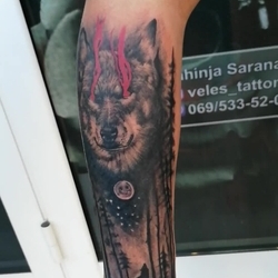 tetovaza vuk i suma Novi Sad