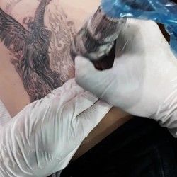 Tetoviranje FENIKS NA REBRIMA