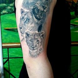 Tetoviranje LAVOVA NA RAMENU