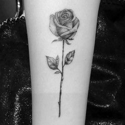 Tetovaza ruže -Rose tattoo Beograd Žarkovo