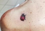 Tetovaza bubamare - Ladybug tattoo Beograd Žarkovo