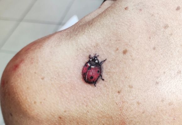 Tetovaza bubamare - Ladybug tattoo Beograd Žarkovo