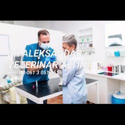 DR ALEKSANDAR • VETERINAR ALTINA