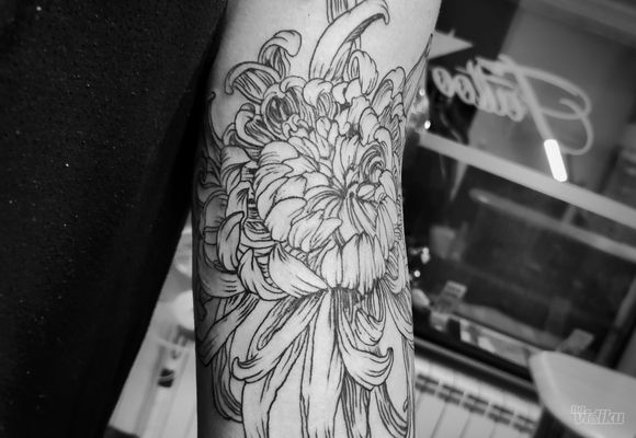 Lotus flower tattoo - lotus tetovaža Beograd Žarkovo