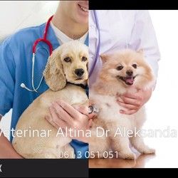 Veterinar na Altini ( veterinar specijalista )