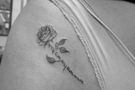 I am mu own muse rose tattoo - tetovaža ruže Beograd Žarkovo