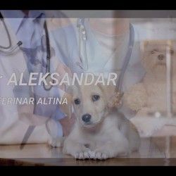 Najbolji veterinar Altina