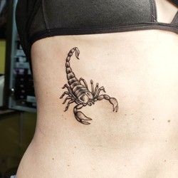 Tetovaža skorpije - Scorpio tattoo Beograd Žarkovo