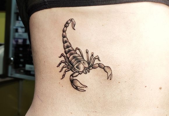 Tetovaža skorpije - Scorpio tattoo Beograd Žarkovo