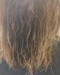 Argan oil nano shot Novi Beograd