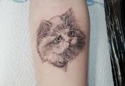 Tetovaža mačke - Cat Tattoo Beograd Žarkovo 